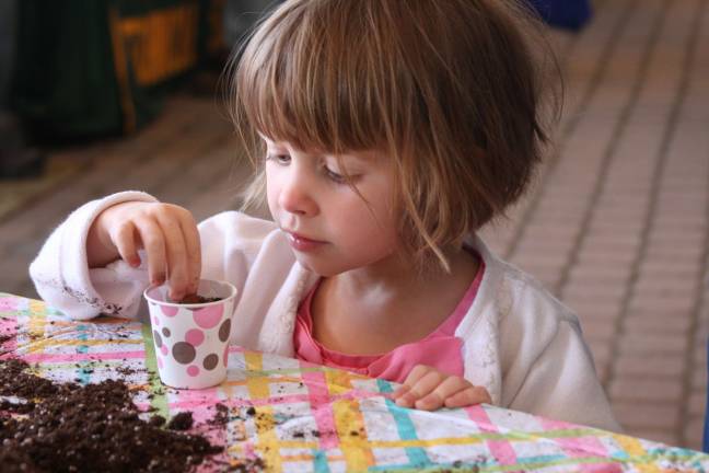 It happens every year Dana Schul of Andover adds more potting soil for her seedling.