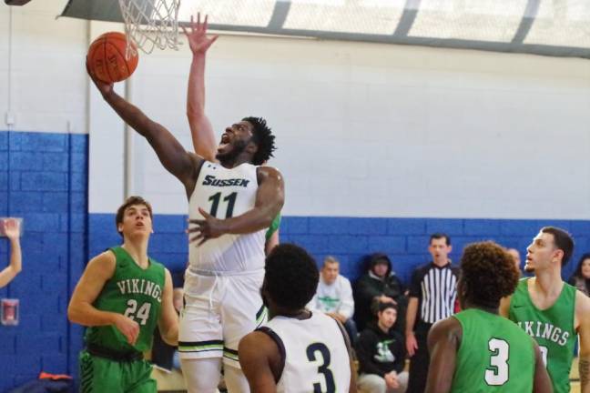 Sussex County's Raymere Grant handles the ball during a shot attempt in the first half.