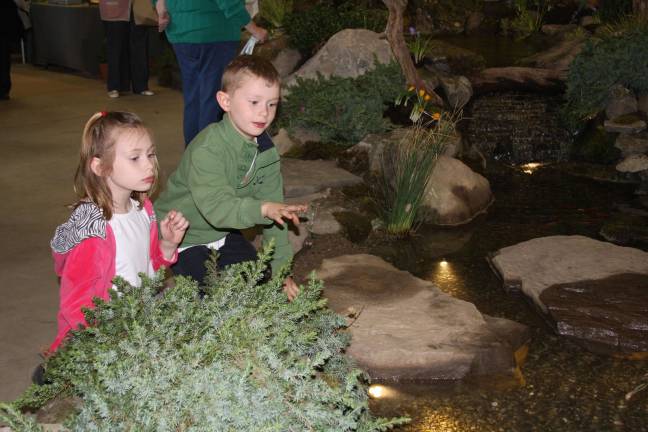 It happens every year Abigail and Andrew Hipolit of Sparta try counting the fish in the pond.