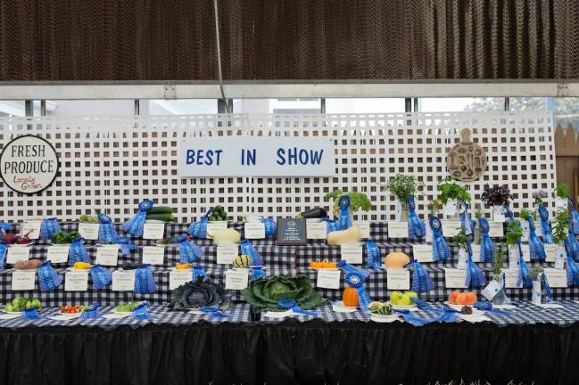 No two fairs are the same <b>The vegetable show is challenging fairgoers to take a stab at judging various veggies in the greenhouse this year. (Photo by MVanek Photography)</b>