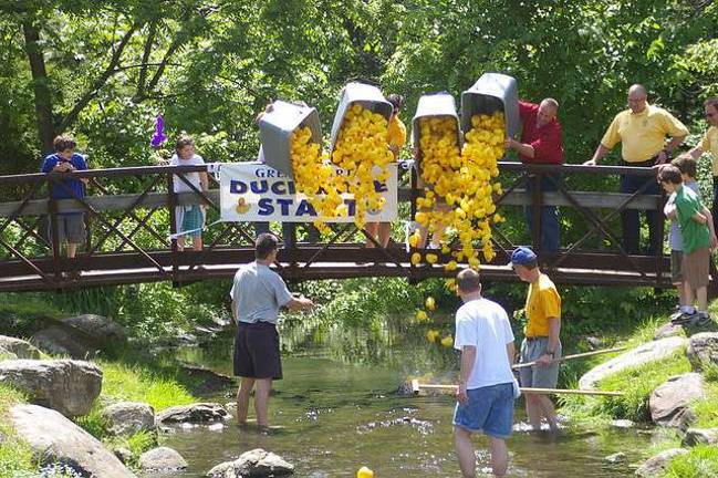 Here come the rubber duckies! Here come the rubber duckies!