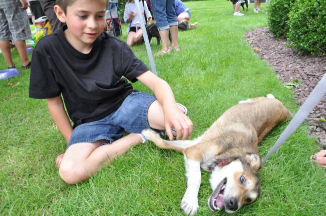 Chili with a chance of adoption "I want this dog so bad, but I can't," said Jacob Eben, who was playing with Carlota. "I already have too many dogs."