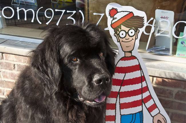 Sparta Books celebrates Waldo's birthday Waldo the dog with Waldo the character outside Sparta Books
