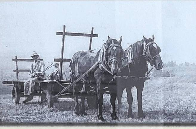 Sussex County History Today: Bellvale Farms <b>Waiting for hay at Bellvale Farms in Warwick, N.Y. (Photos courtesy of Amy Noteboom)</b>