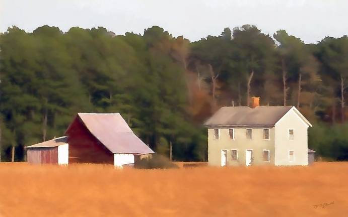 Sharecropper, Randall FitzGerald