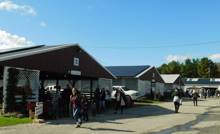 The livestock barns at the Sussex County Fairgrounds are accessible for people with mobility concerns, but a lack of a scooter and wheelchair rental vendor for this year has left some potential fairgoers with mixed feeling about attending. The NJ State Fair/Sussex County Farm and Horse Show runs from Friday, Aug 2 through Sunday Aug 11, 2019.