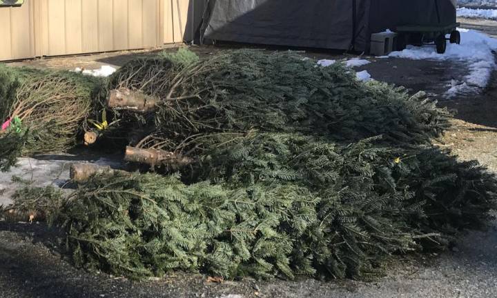 Christmas tree pickup concludes