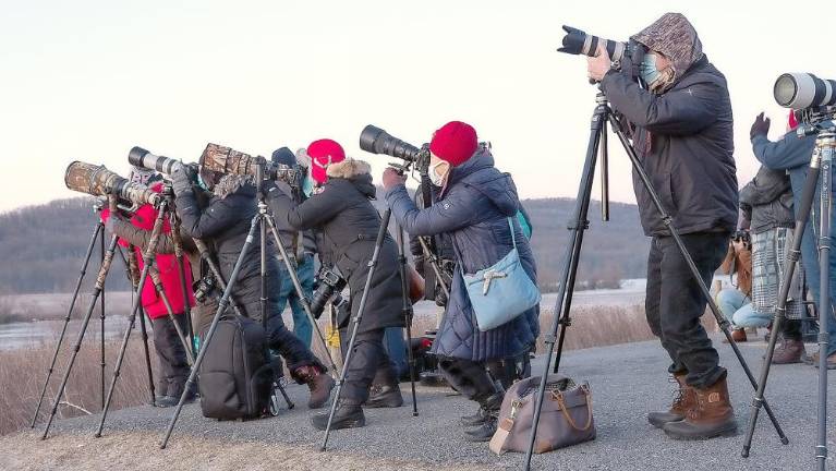 A ‘blizzard’ of snow geese at Pennsylvania’s Middle Creek Photographers form a line, eager to capture the mass takeoff of snow geese at Pennsylvania’s Middle Creek Wildlife Management Area. (Bay Journal photo by Dave Harp)
