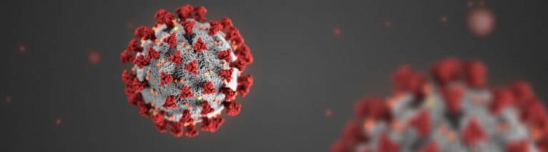 Coronavirus Hotline Coronavirus Hotline