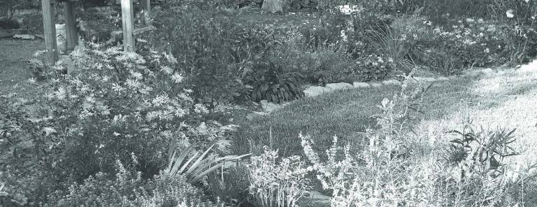 Annual Garden and Historic Home Tour June 16 This year, the Sussex County Arts and Heritage Council will host the 14th Annual Garden and Historic Home Tour on June 16.