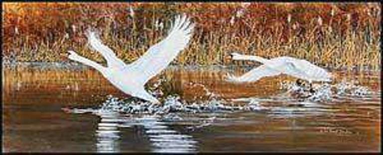 Wildlife art on sale Wildlife art on sale