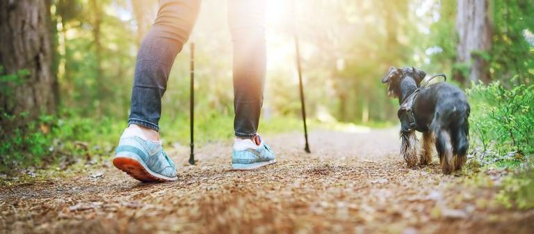 County establishes trails grant program County establishes trails grant program