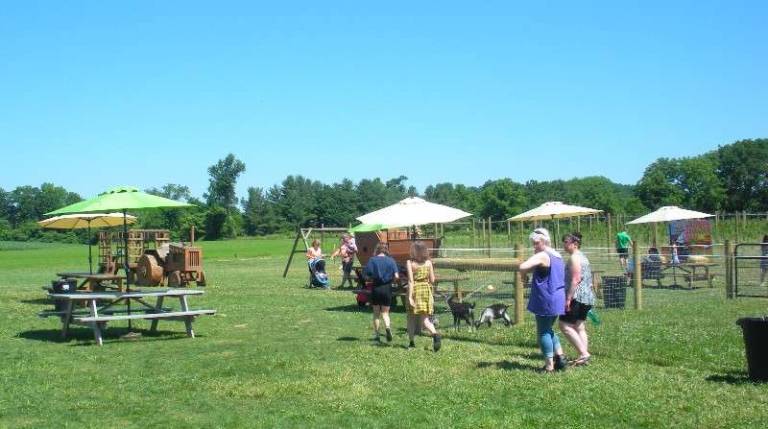 Tranquillity Farms opens new store Customers brave the bright sunshine to check out the picnic, playground and petting zoo areas