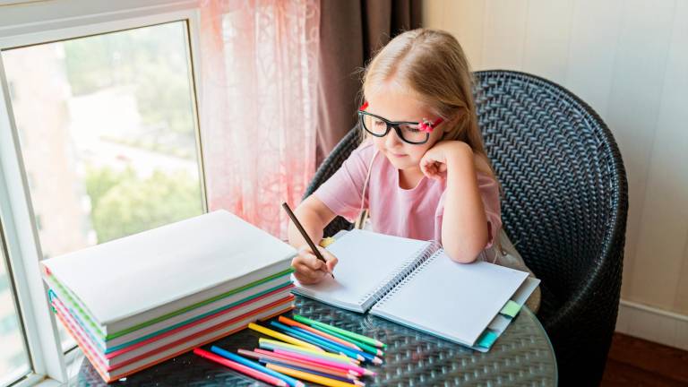 What does the National Home School Association say is wrong with the public school system? What does the National Home School Association say is wrong with the public school system?