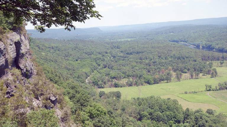 Milford’s climate change action plan is missing one big thing: Wildlife corridors View from the Cliff Park Trail overlooking Route 209, the McDade Recreational Trail, and the Milford bridge (Photo by Pamela Chergotis)