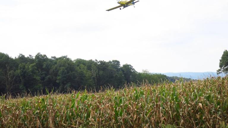 Aerial seeding Aerial seeding