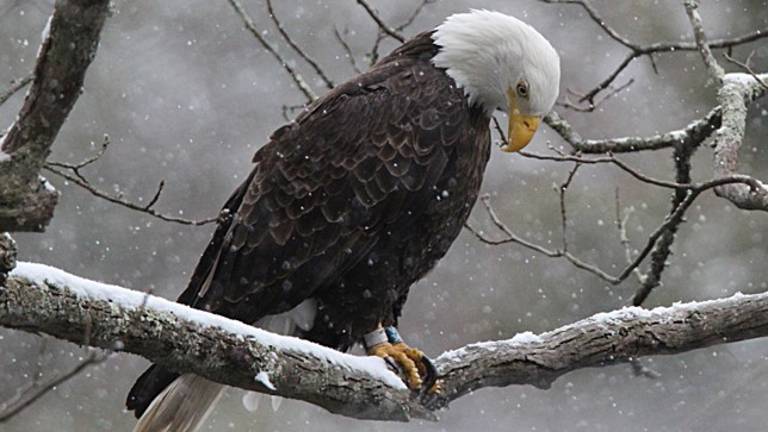 Nature photographers invited to enter contest Nature photographers invited to enter contest