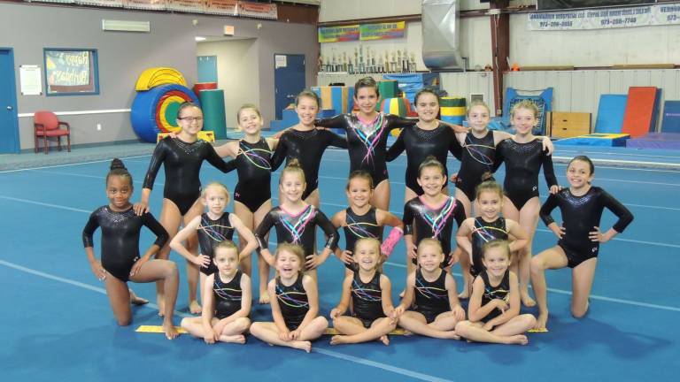 Local gymnasts shine in Florida Local gymnasts shine in Florida