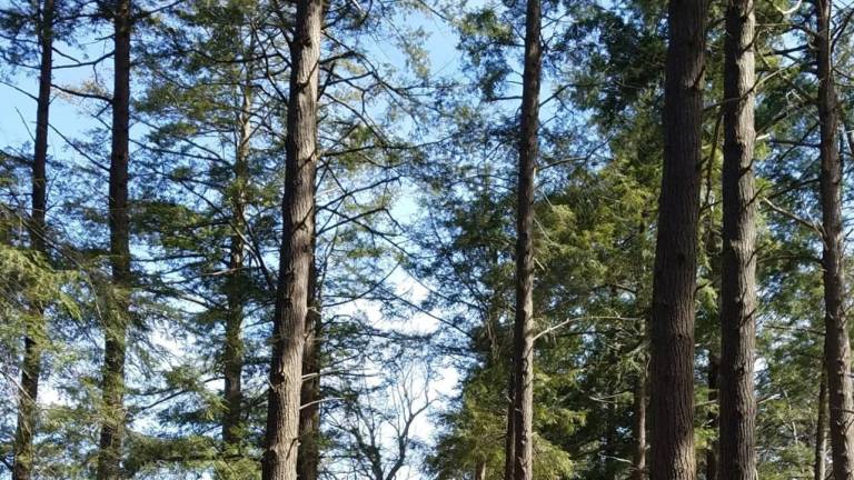 'Mayor's Hike' set for Aug. 3 'Mayor's Hike' set for Aug. 3
