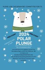 Polar Plunge canceled in Byram