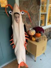 Warwick, N.Y., resident Megan Rivelli’s 11-year-old son is dressing up as a shrimp this year (Photo provided)