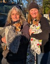 Lisa Chammings, left, holds Hero and Jeanette Campbell holds Tiny Tim shortly after the dogs were discovered in Stillwater Township, N.J., on Wednesday, March 18. After being sighted in the road in Stillwater, Chihuahua-mix Hero led Campbell and Chammings to a disabled older Chihuahua named Tiny Tim, who was stuck at the water’s edge at Swartswood Lake, unable to free himself from behind a dock. Photos provided by Lisa Chammings.
