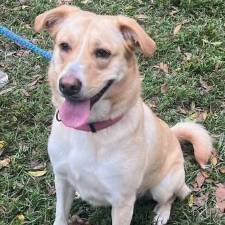 Meet Marquesa