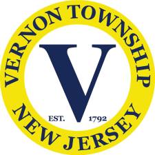 Vernon audit identifies two ongoing financial control issues