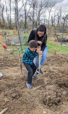 Esther Rojo of Sparta and her son Isaac Rojo digging up dahlia tubers.