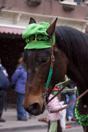 Horses of all shapes and sizes are decked out in green as they make their way down Spring Street.