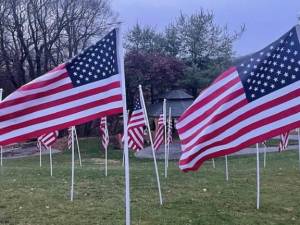 Flags of Honor display planned in Newton