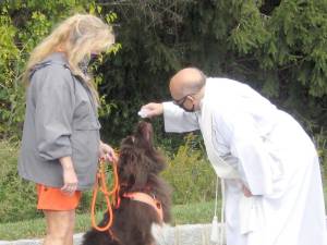 Father Rodak blesses Newfoundland Percy as the dog’s owner Helene Andolena of Byram look on (Photo by Janet Redyke)