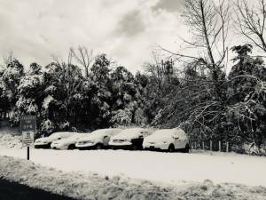 Some local areas will get more than a quarter of an inch of ice Monday into Tuesday. It's especially concerning for areas where trees were already damaged or weighed down by last week's storm. Pictured: Vehicles in Andover Township's lot during last week's storm.