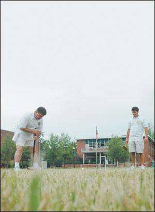 A wicket-ly good time