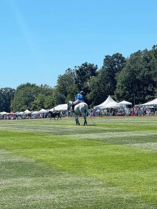 More than 600 people line the field to tailgate and take in the action at Grayfields Polo Club in Allamuchy. (Photos by Aidan Mastandrea)