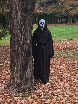 Kayden haunting the neighborhood. (Photo submitted by Barbara Popek)