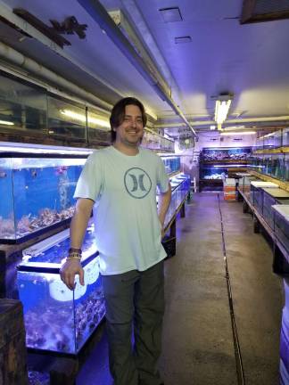 Robert Shepard at his place of work: Merit Imports in Paramus. Photo by Rose Sgarlato