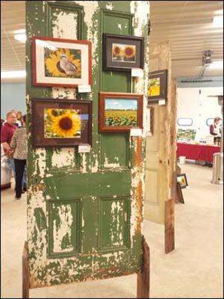 Sunflower photos win prizes