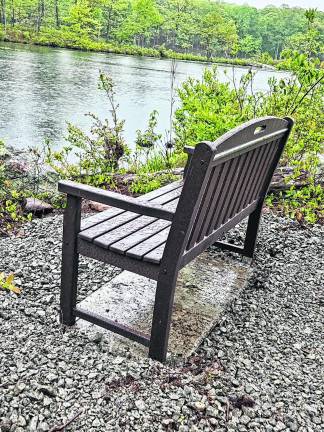 A new bench overlooking Johnson Pond.