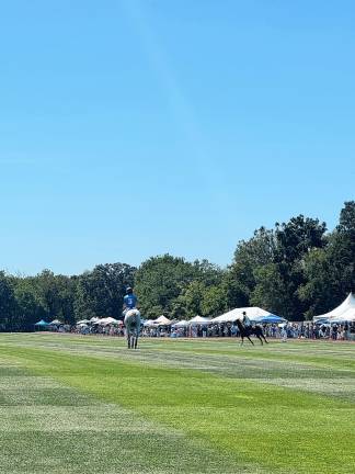 600 attend Polo Classic fundraiser