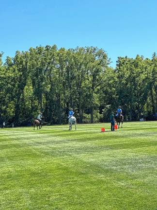 600 attend Polo Classic fundraiser