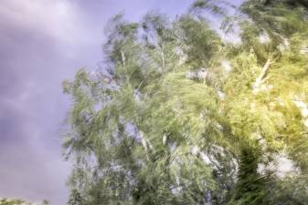 1,000 without power in Sussex County