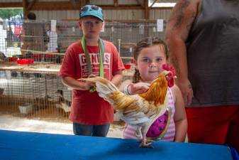 Hold your horses: There are hundreds of animals to see at the fair