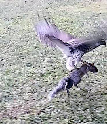 Nature in action at the Lake Mohawk Golf Course