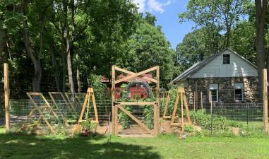 Peep this garden and a dozen others July 26