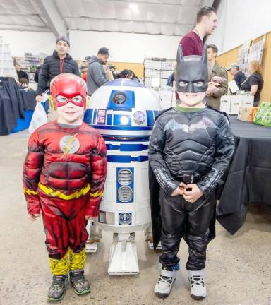Brendan, 4, and Justin Carrol, 6, of Hamburg attend their first Comic Fest in costume.