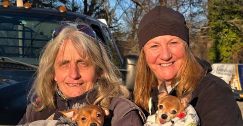 Community rallies to rescue abandoned dogs