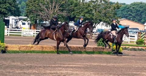 Fine weather boosts fair attendance