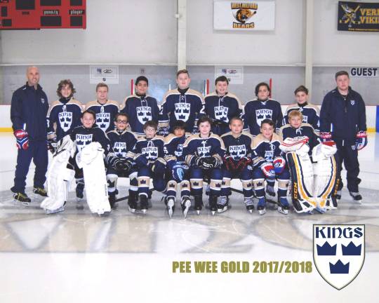 15 members of the hockey team; 15 families contributed to the effort