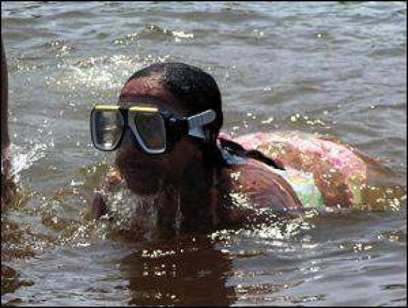 Creatures of the lake